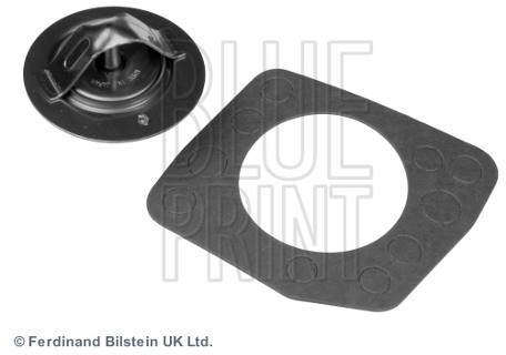 BLUE PRINT Termostat, środek chłodzący ADN19204