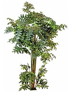 Europalms Europalms Fishtail, 305cm, Sztuczna roślina 82600006