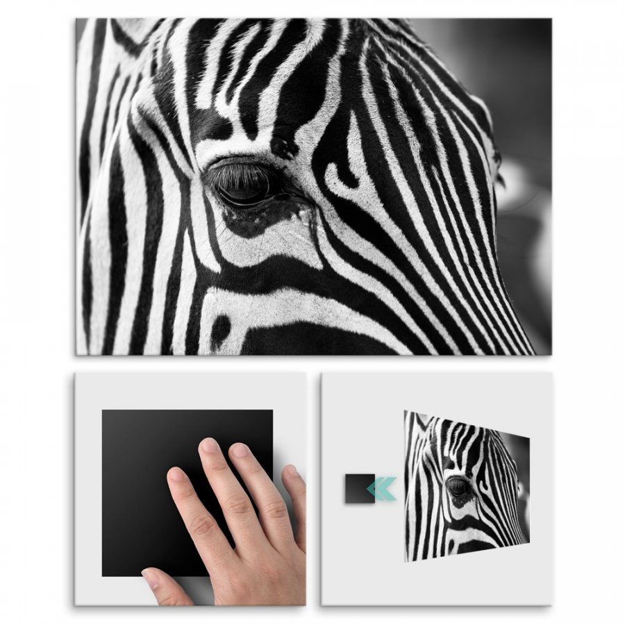 Pix4home Plakat metalowy zebra L POS-L-01789