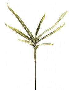 Europalms EUROPALMS Yucca Krzew (EVA), sztuczny, zielony 82531063