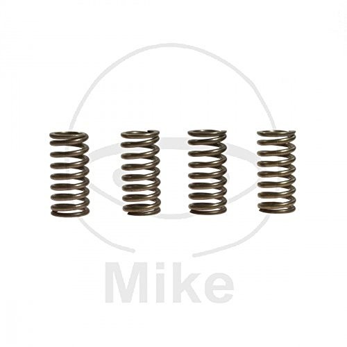 EBC Zestaw sprężyn sprzęgła CSK166 458215