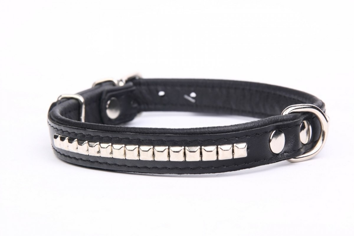 dr Seidla ZOO LESZCZ (PL) Soldina Dla Psa Skóra Naturalna Z Kostkami 25 mm / 56 cm ZL0182/1 ZOO LESZCZ (PL)