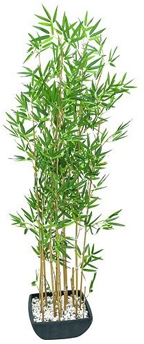 EUROPALMS Euro Palms 82509262 ozdobna z bambusa w misa dekoracyjna, 150 cm 82509262