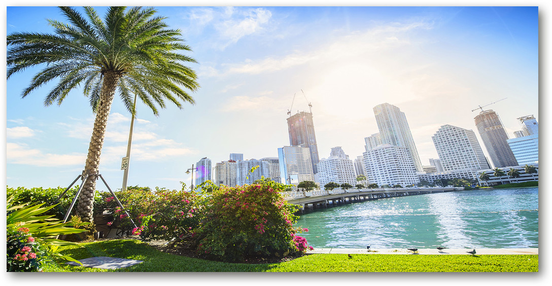 Foto obraz na ścianę akryl Miami USA