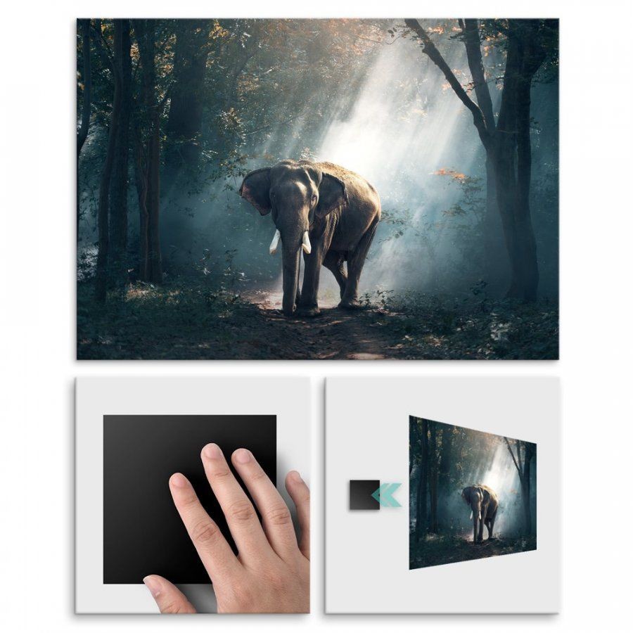 Pix4home Plakat metalowy słoń w dzikim lesie M POS-M-01765
