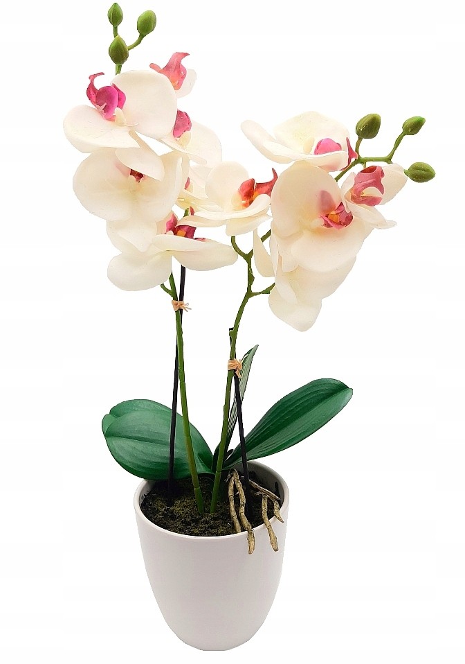 Storczyk Sztuczny w doniczce silikonowy Orchidea