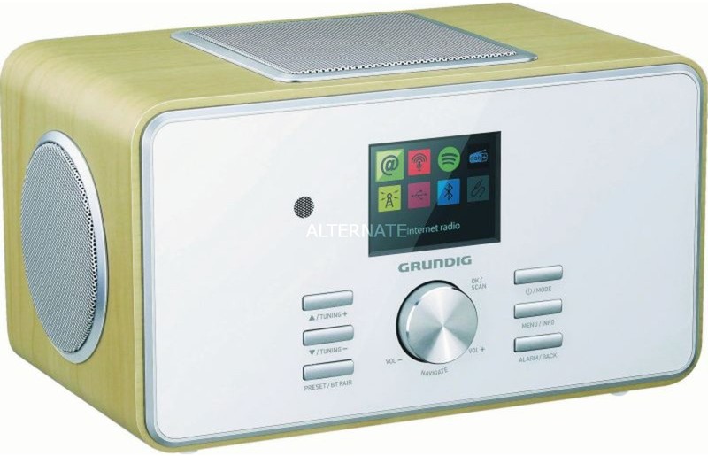 Grundig GIR1100