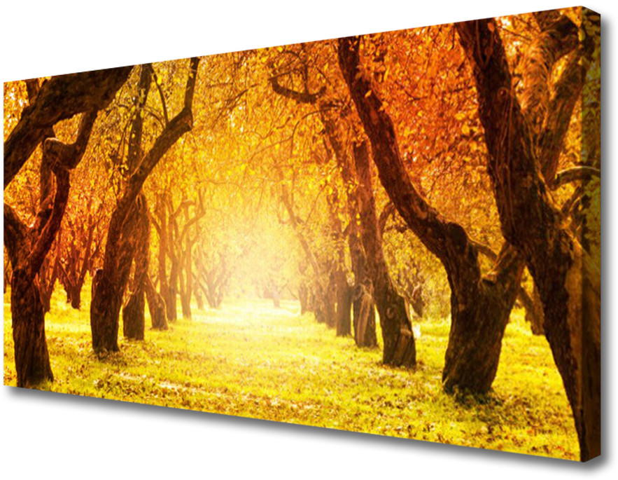PL Tulup Obraz Canvas Las Ścieżka Drzewa Natura 100x50cm
