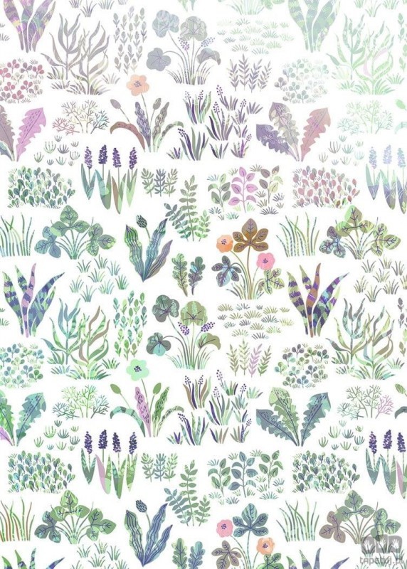 Komar Fototapeta Flower Farm IAX4-0006 IAX4-0006_opcje