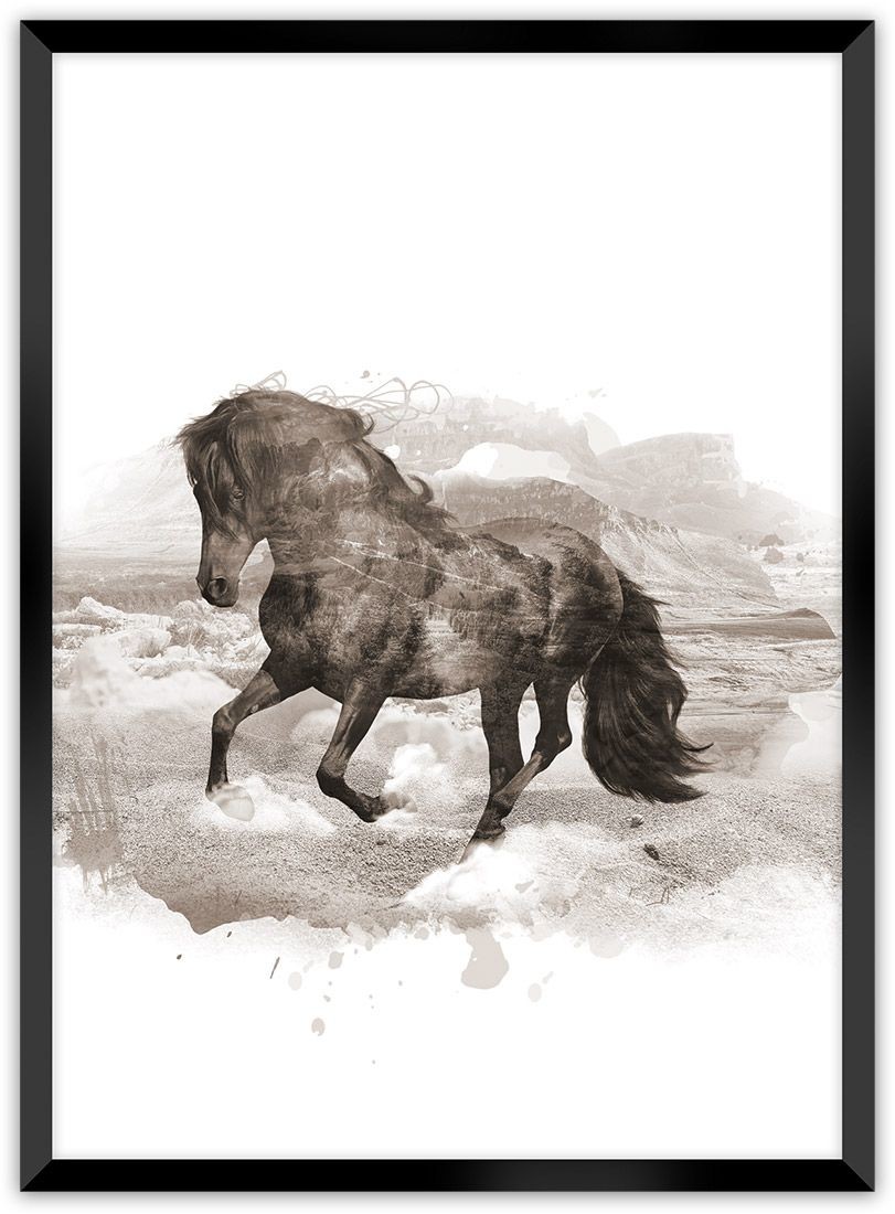 Dekoria Dekoria Plakat Horse 40 x 50 cm Ramka Czarna 221C-000-27