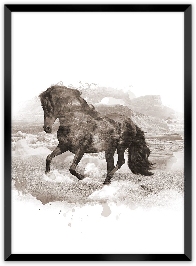 Dekoria Dekoria Plakat Horse 70 x 100 cm Ramka Czarna 223E-000-27