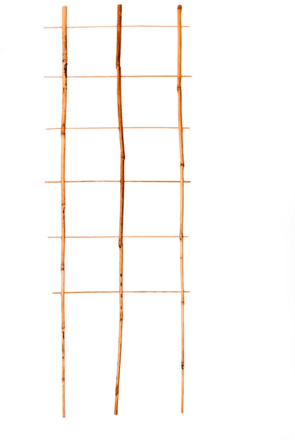 gockowiak Drabinka bambusowa potrójna 90 cm