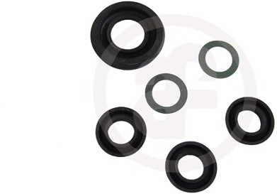 AUTOFREN Zestaw naprawczy, pompa hamulcowa SEINSA D1700