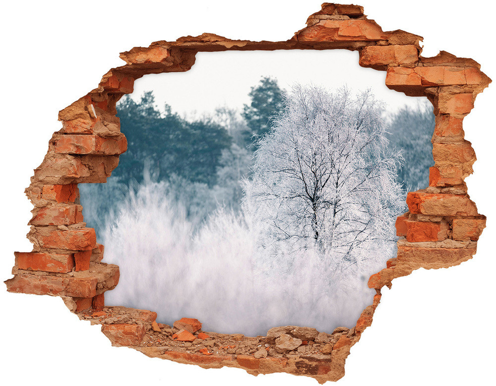Wallmuralia.pl Dziura 3d w ścianie naklejka Drzewa zimą