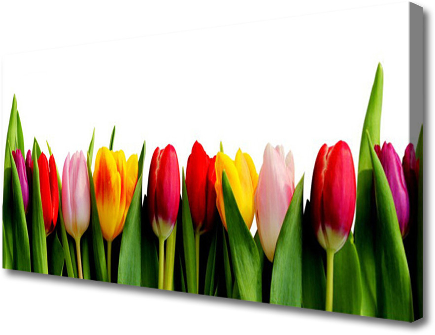 PL Tulup Obraz na Płótnie Tulipany Roślina 100x50cm