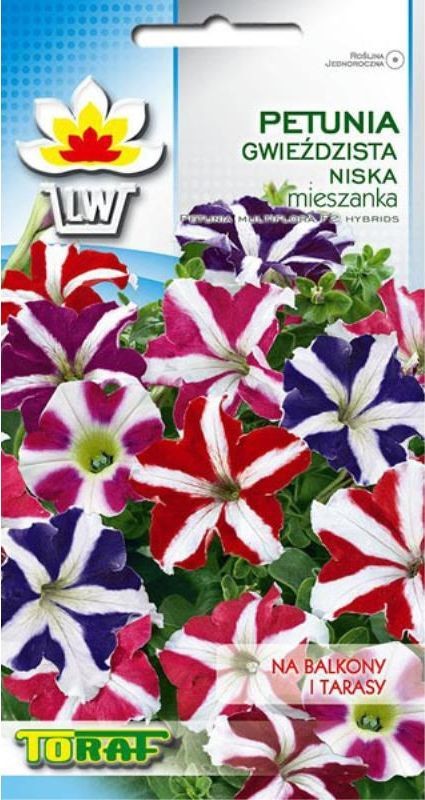 Toraf KWIATY Petunia gwieździsta mix nasiona 0,1g 00456