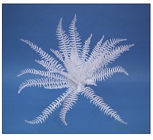 Europalms EUROPALMS Biała paproć bostońska, sztuczna 60 cm 82719137