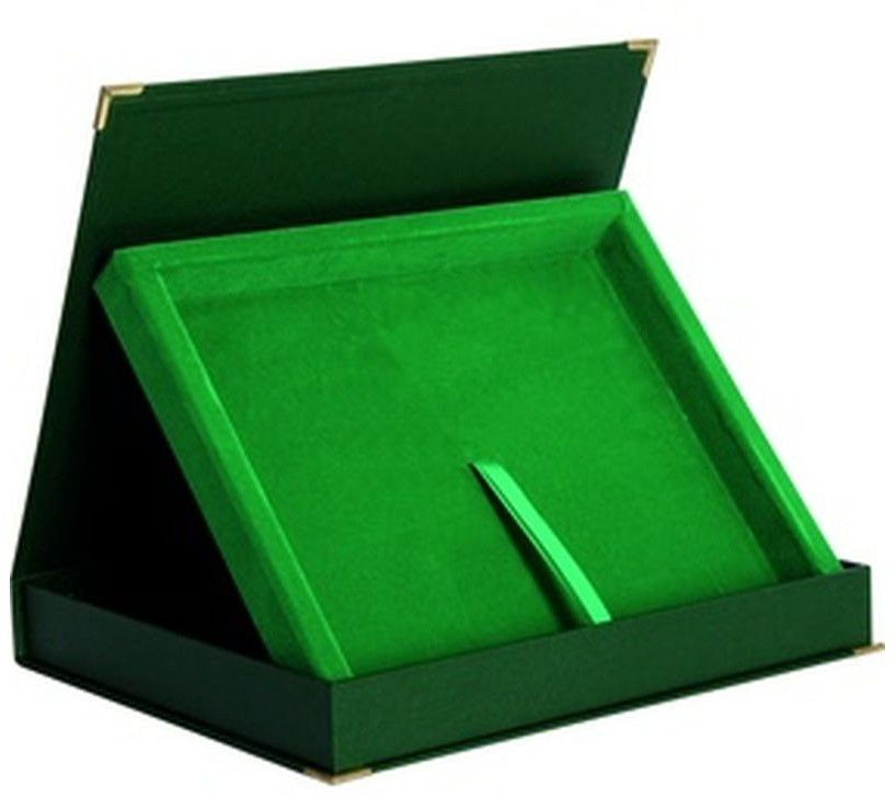 VS VS, Etui poziome na deskę 305x230 mm, zielone