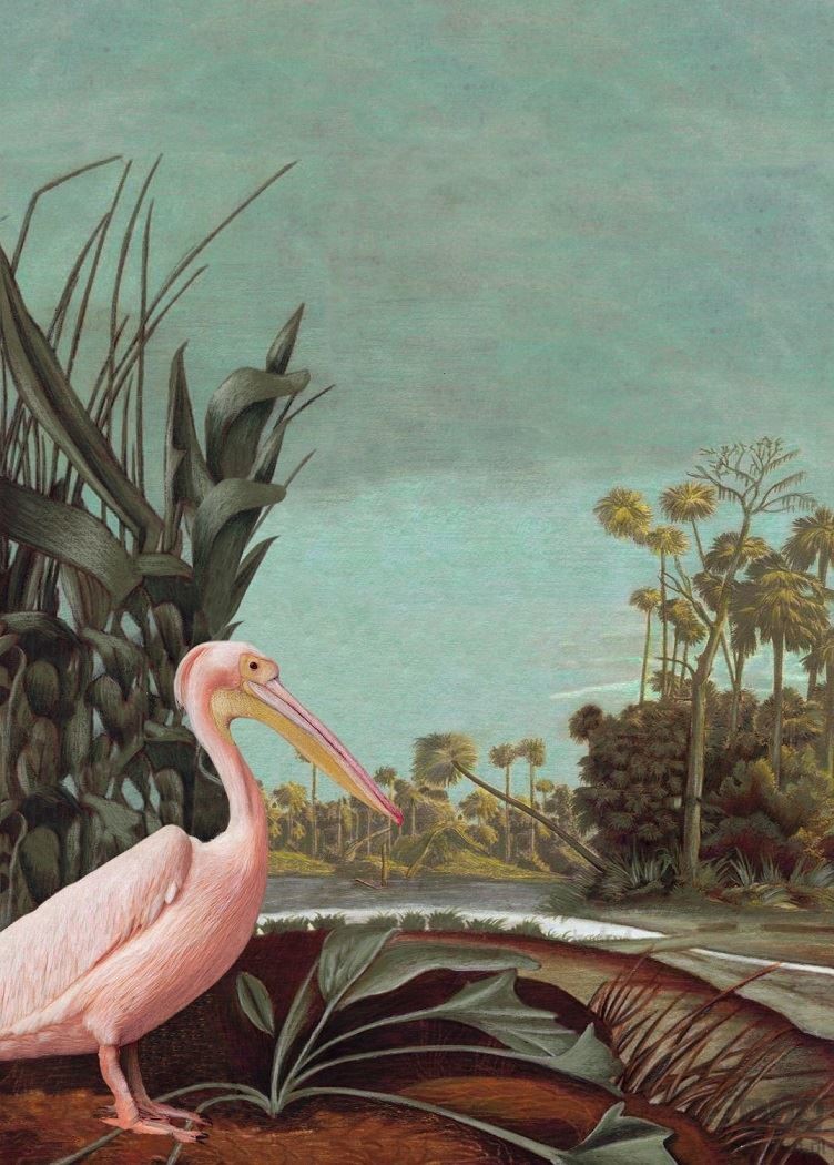Esta Home Fototapeta ogród botaniczny z flamingiem 158948