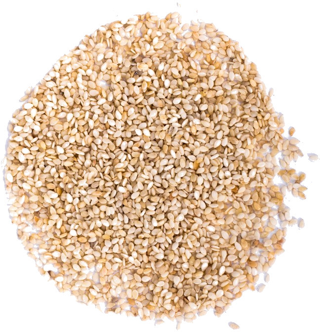 Planteon Sezam biały ziarno 99,95% 100g 2-0036-02-2