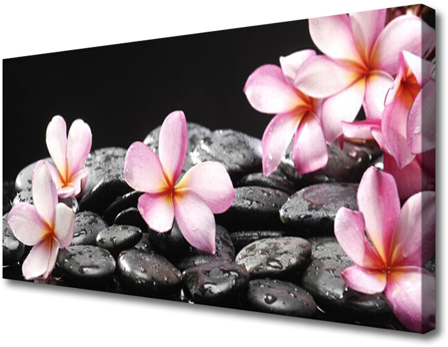 PL Tulup Obraz Canvas Kwiat Plumeria na Ścianę 100x50cm