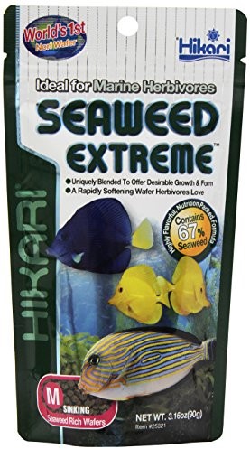 Hikari Usa Inc. hikari (miasto) Seaweed Extreme  Medium sinkin półprzewodnikowe  zawiera o 67% ALG. Torebka (G) 42055253215
