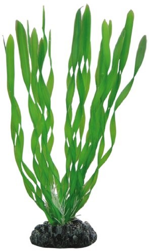 Hobby Vallisneria sztuczna roślina do akwariów, 20 cm
