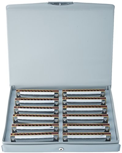 Suzuki Suzuki Folkmaster zestaw 12 harmonijek 1072-S