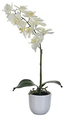 Mica VB 346963 lampka nocna Falter-orchidea, wysokość 60 cm VB 346963