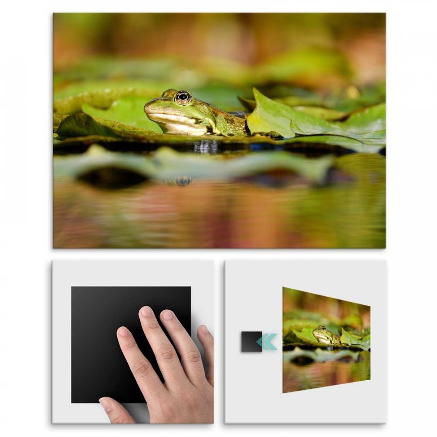 Pix4home Plakat metalowy żaba na liściu M POS-M-01858