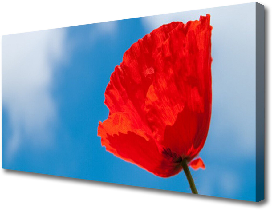 PL Tulup Obraz na Płótnie Tulipan Na Ścianę 100x50cm