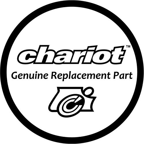 Thule Chariot Flag (W. logo) (CHS50191802)