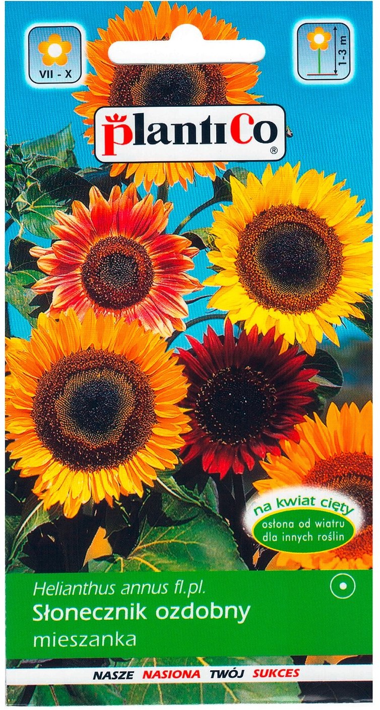 Plantico Słonecznik ozdobny mix
