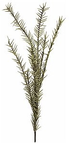 Europalms EUROPALMS Rozmaryn gałązka (EVA), sztuczny, zielony 82531064