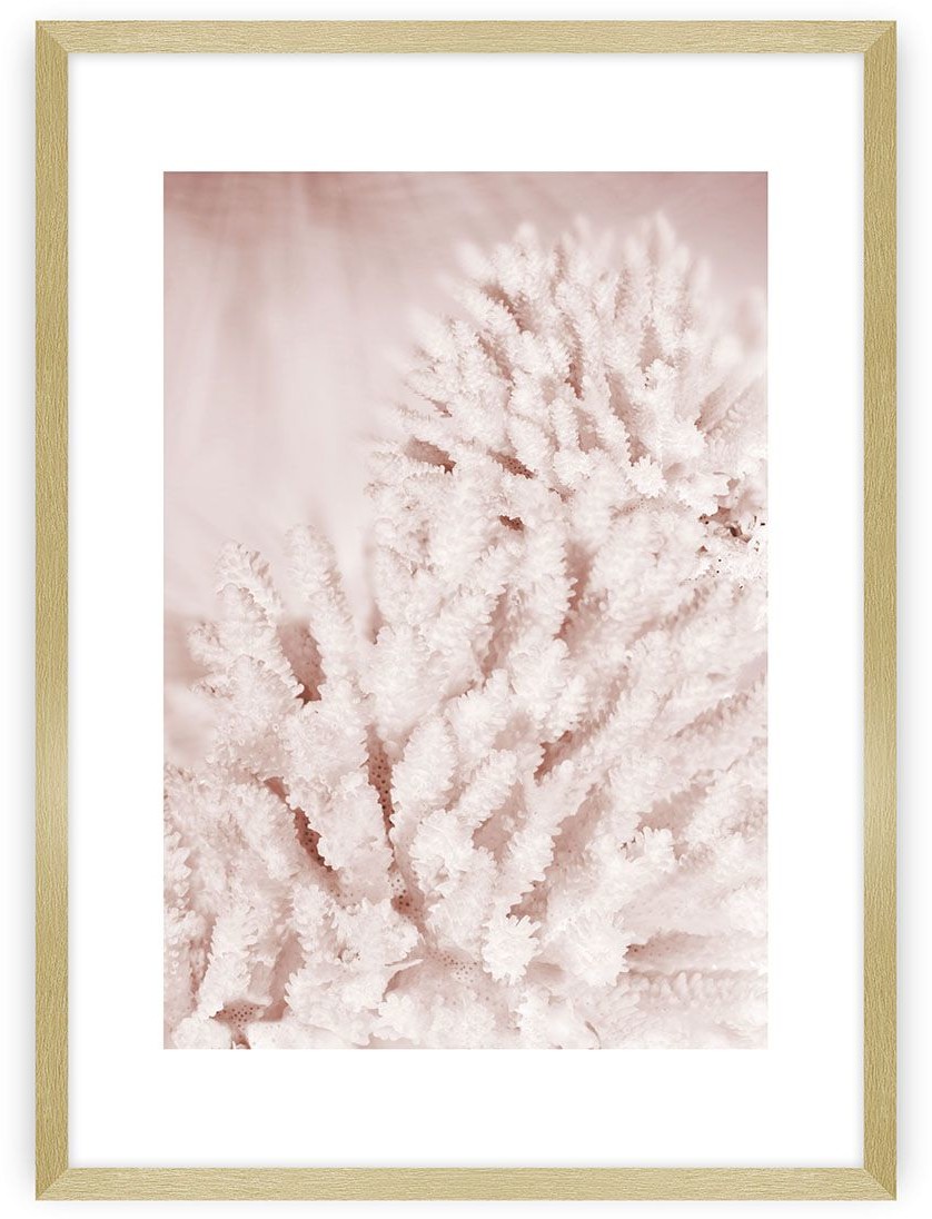 Dekoria Plakat Pastel Pink II 70 x 100 cm Ramka Złota 223H-000-44