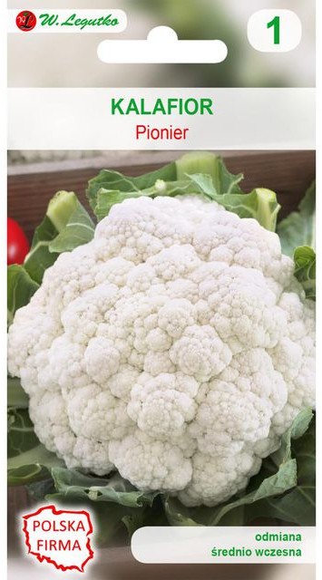 Legutko Kalafior PIONIER