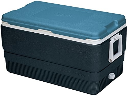 Cool Igloo maxcold 70 Box firmy Blue, unisex, maxcold 70, niebieski 49494
