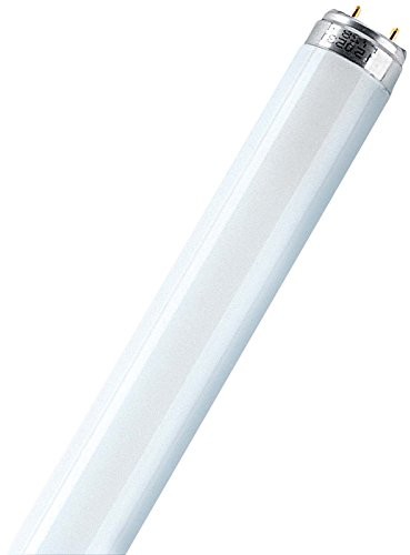 Osram L świetlówka, moc 36 W/840-1, długość 1 m, uniwersalna biel 999046695046