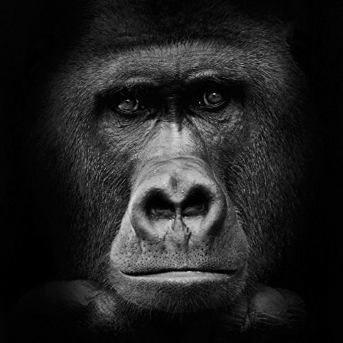 Pro-Art-Bilderpalette Pro-Art g1857l obraz ścienny Giclee 