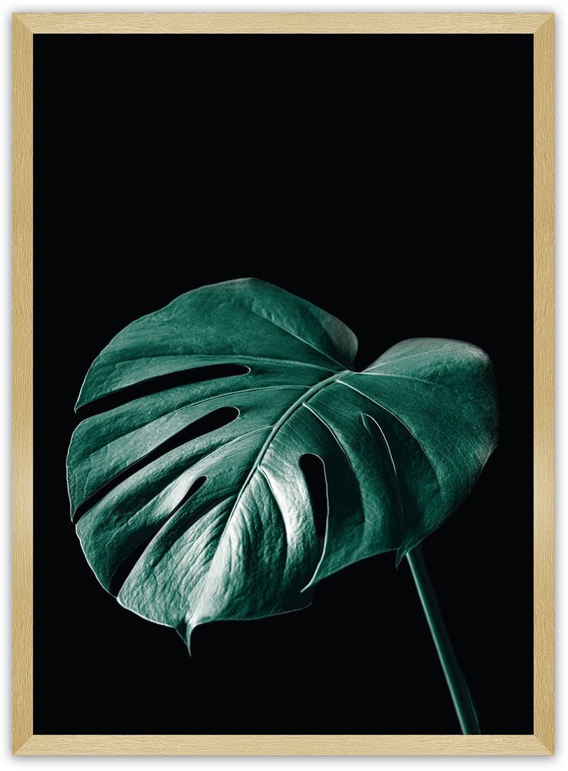 Dekoria Dekoria Plakat Dark Monstera 40 x 50 cm Ramka Złota 221A-000-21