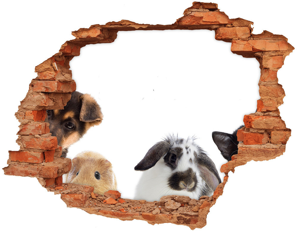 Wallmuralia.pl Dziura 3d fototapeta naklejka Zwierzęta domowe