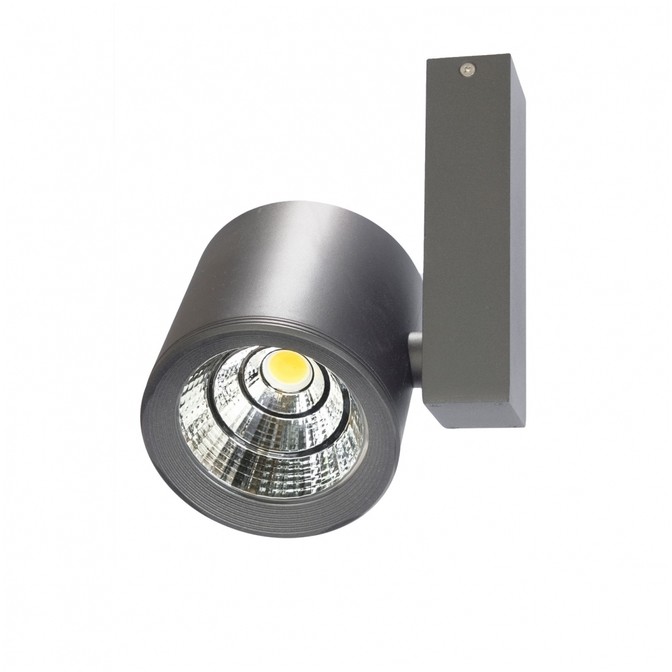 SpectrumLED Chloe Cob Led 230v 28w Ip20 24st Ww Sufitowe Silver Mat SLI032002WW_SILVER