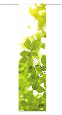 Home Fashion Leaf 87505-768 zasłona przesuwna z nadrukiem cyfrowym, materiał dekoracyjny o wyglądzie jedwabiu, wymiary 245 x 60 cm, kolor zielony 87505-768