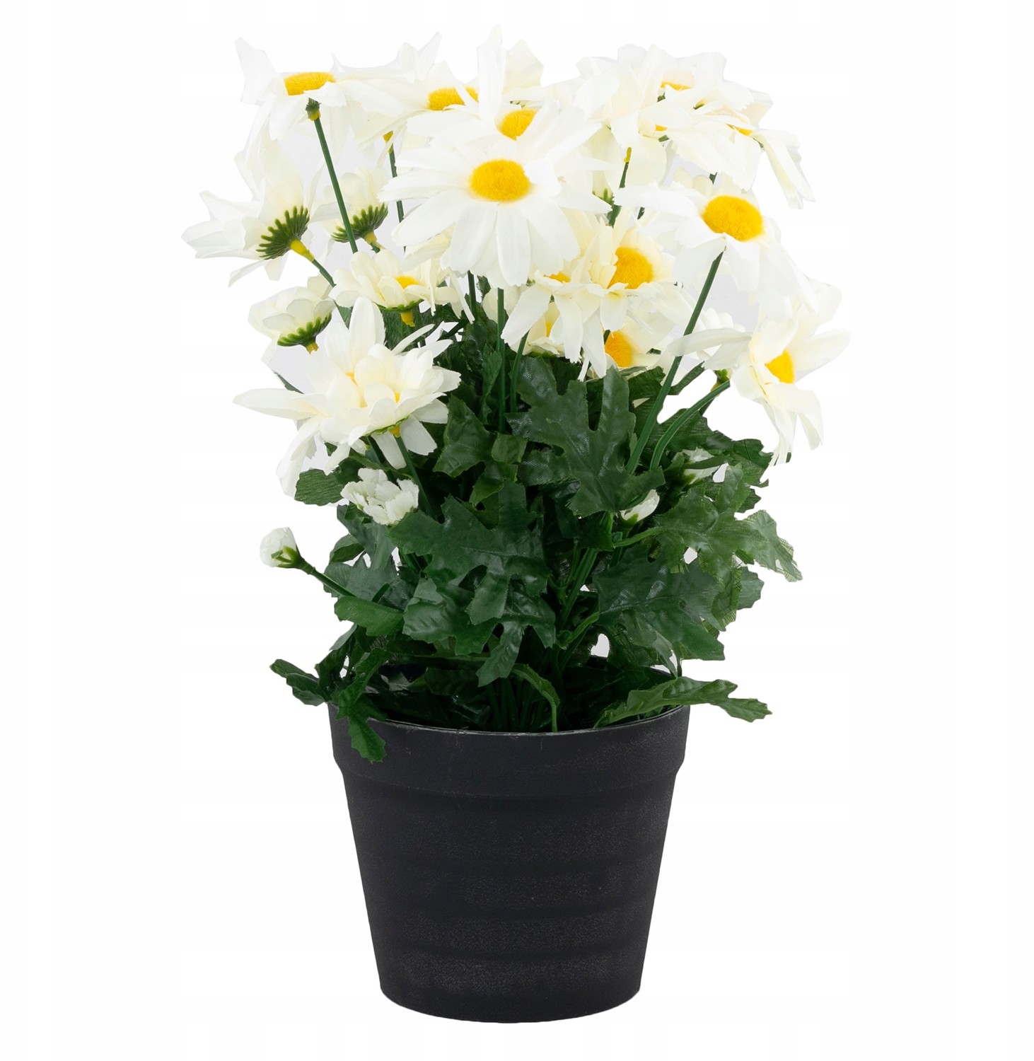 Sztuczne Stokrotki W Doniczce