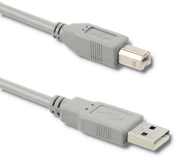 Qoltec KABEL USB 2.0 AM BM 0.19M 50393 Zamów do 16:00 wysyłka kurierem tego samego dnia! 50393