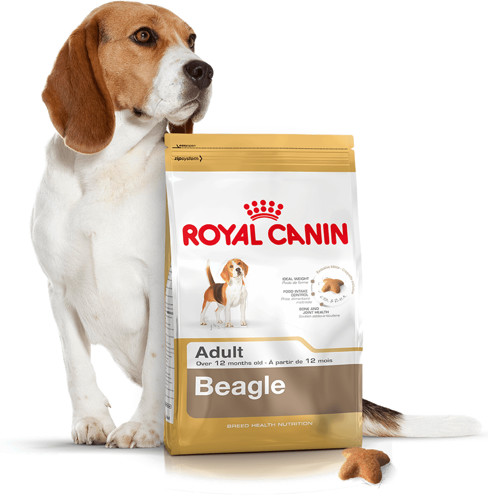 Royal Canin Adult Beagle 3 kg