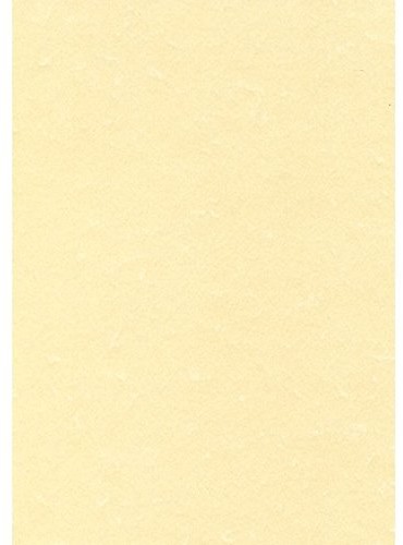 Decadry DECAdry Everyday papier listowy zewnętrzny (95 G/M, DIN A4), 100 arkuszy w kolorze szampana LX13498