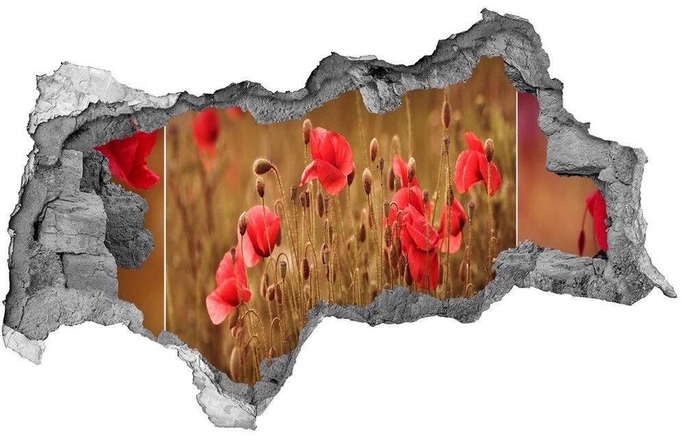 Wallmuralia.pl Samoprzylepna dziura na ścianę Maki tryptyk