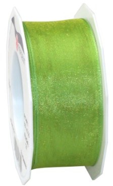 Pattberg Prezent 40 MM 25 m Four Seasons  taśma organza z drutu, jasnozielony 6074025-127