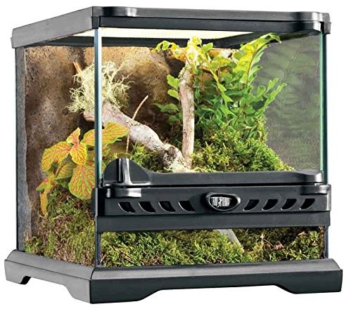 Exo Terra naturalny terrarium Nano, 20x20x20cm